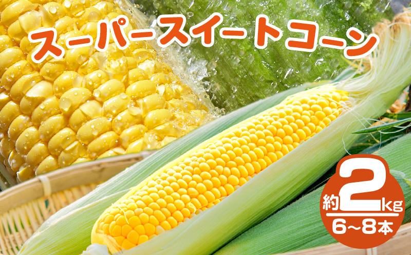 ≪期間限定≫スーパースイートコーン(約2kg)お試し用 とうもろこし 野菜 国産_T003-0035