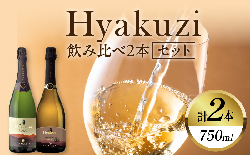 Hyakuzi飲み比べ2本セット 酒 飲料 アルコール 国産_T014-0367