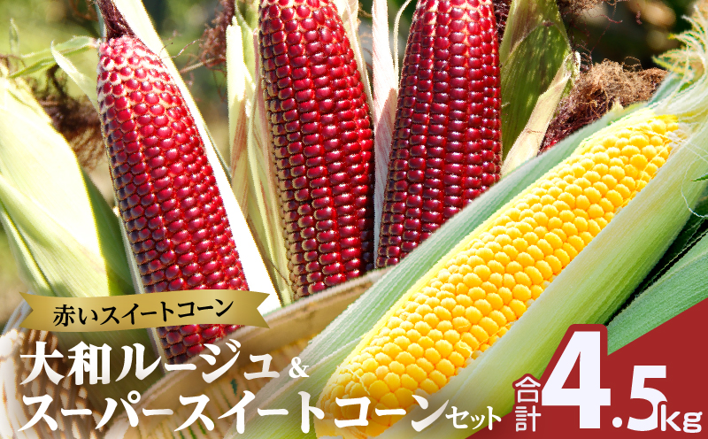 ≪期間限定≫赤いスイートコーン大和ルージュ＆スーパースイートコーンセット(合計4.5kg) 野菜 旬 国産_T003-0085