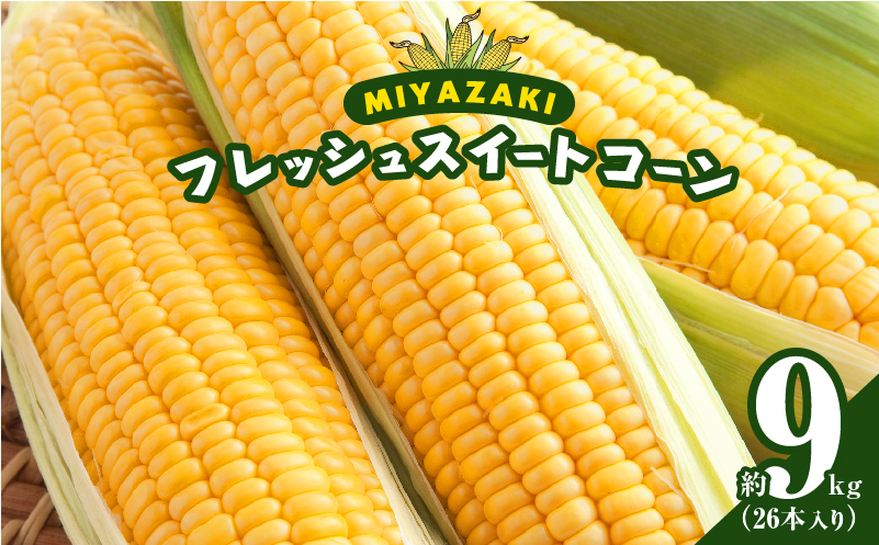 先行予約≪期間限定≫みやざきフレッシュスイートコーン(約9kg) とうもろこし 野菜 旬 おやつ 国産_T015-0055