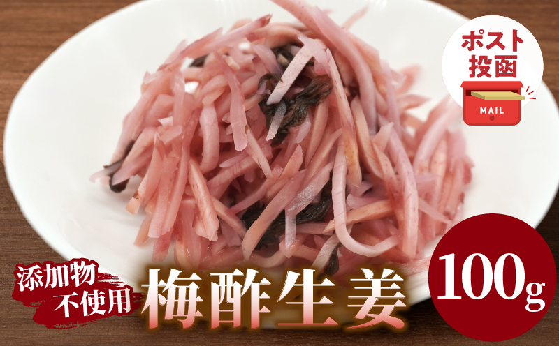 ＼ポスト投函／梅酢生姜100g おかず 漬物 野菜 加工品 国産_T037-0105