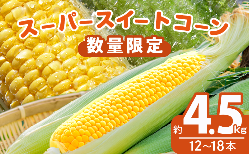 先行予約≪期間限定≫スーパースイートコーン(約4.5kg) とうもろこし 野菜 国産_T003-0045