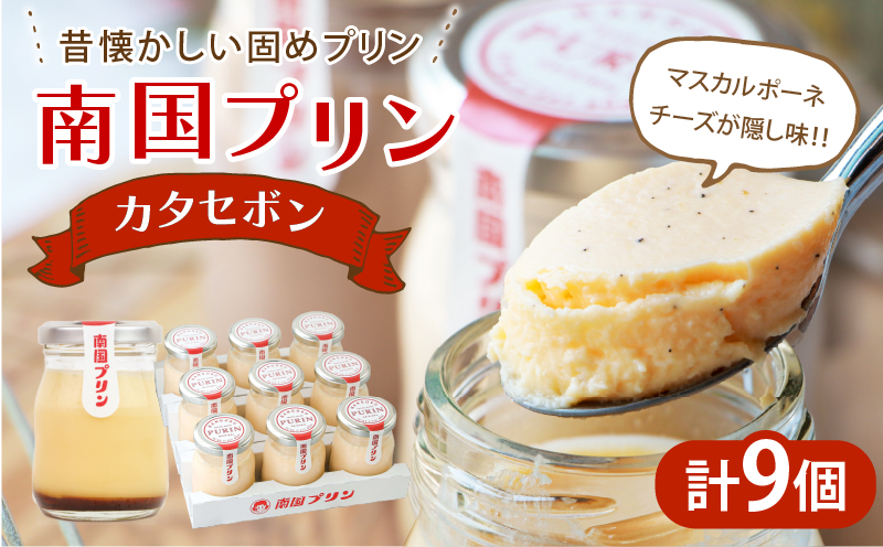 南国プリン「カタセボン(計9個)」 スイーツ 洋菓子 国産_T038-0035