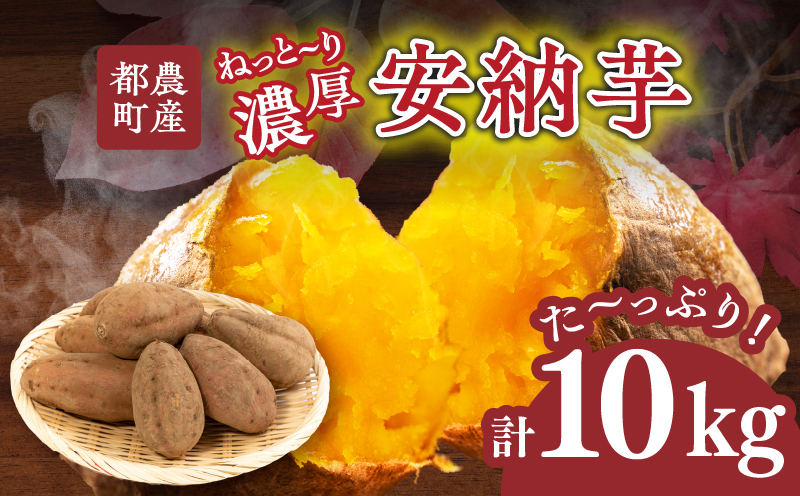 先行予約≪期間限定≫都農町産安納芋(計10kg) 野菜 芋 イモ 国産_T016-0021