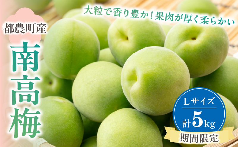 先行予約≪期間限定≫都農町産「南高梅(Lサイズ)」計5kg 梅 梅干し 果物 国産_T008-012