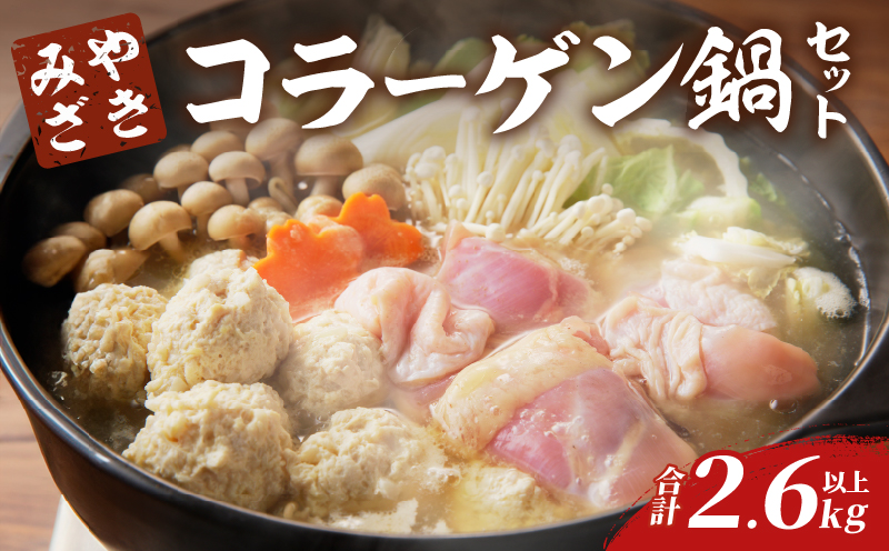 コラーゲン鍋セット(合計2.6kg以上) 肉 鶏 鶏肉 鍋 国産 _T017-0055