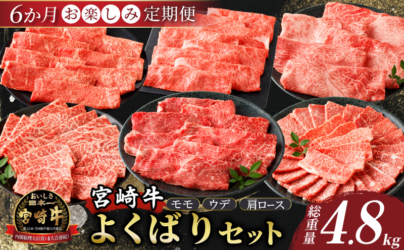 6か月お楽しみ定期便『宮崎牛よくばりセット』総重量4.8kg 肉 牛 牛肉 おかず 国産_T030-1846