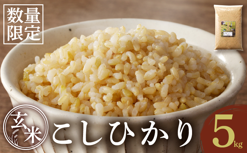 先行予約≪都農町産≫新米コシヒカリ(玄米)5kg 米 お米 ご飯 国産_T031-0035