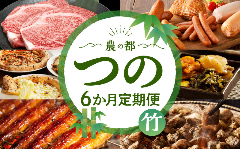 ≪6か月お楽しみ定期便≫都農町定期便(竹) 肉 加工品 鰻 国産_T999-0066