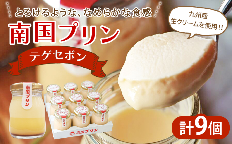 南国プリン「テゲセボン(計9個)」 スイーツ 洋菓子 国産_T038-0051