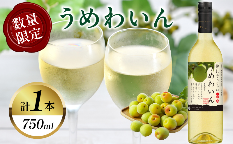 【数量限定】うめわいん(計1本) 酒 飲料 アルコール 国産_T014-0295