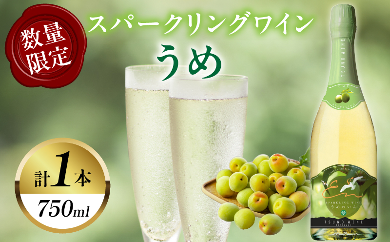 【数量限定】スパークリングワインうめ(計1本) 酒 飲料 アルコール 国産_T014-030