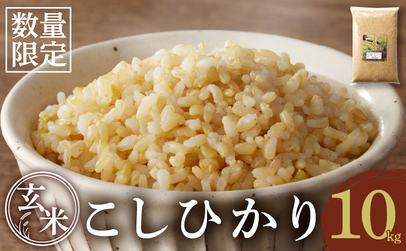 先行予約≪都農町産≫新米コシヒカリ(玄米)計10kg 米 お米 ご飯 国産_T031-0045