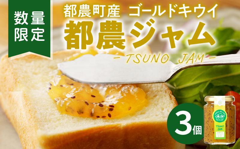 TSUNO JAMゴールドキウイ(計3個) 加工食品 フルーツ 果物  国産_T043-005