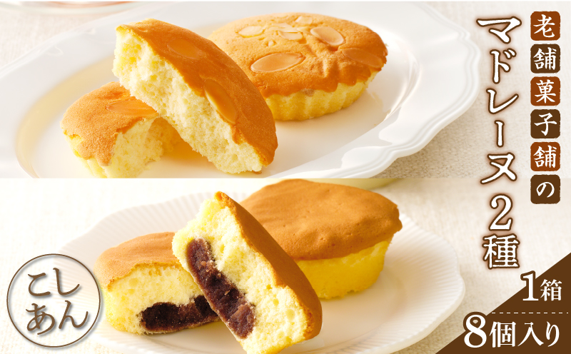 【2週間以内発送】老舗菓子舗のマドレーヌ2種セット(合計8個) 焼き菓子 スイーツ 詰め合わせ 洋菓子_T035-0056