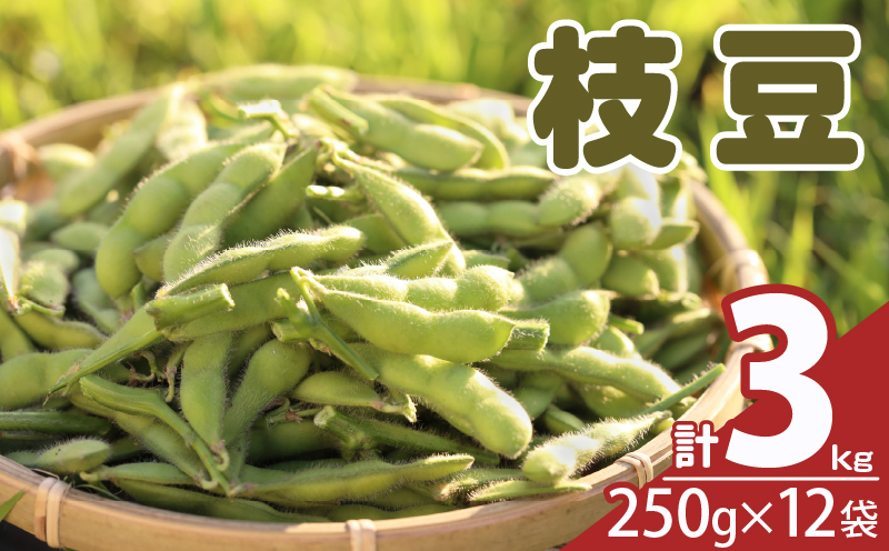 先行予約≪期間限定≫枝豆(茶豆風味・茶豆)計3kg 野菜 旬 国産_T003-0065