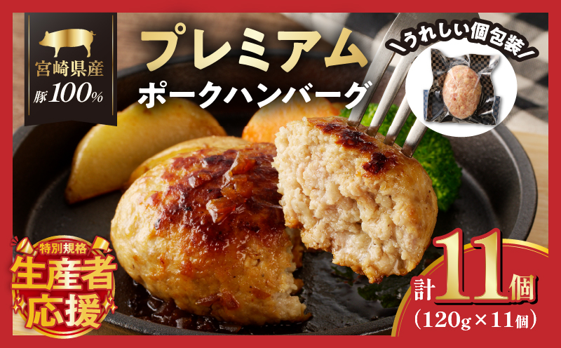 生産者応援!!【期間・数量限定特別規格】宮崎県産豚プレミアムハンバーグ(計11個) 肉 豚肉 加工品 惣菜 国産_T001-0101-ZO