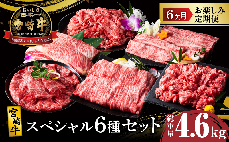 6か月お楽しみ定期便『宮崎牛スペシャル6種セット』総重量4.6kg 肉 牛 牛肉 焼肉 国産_T009-0022