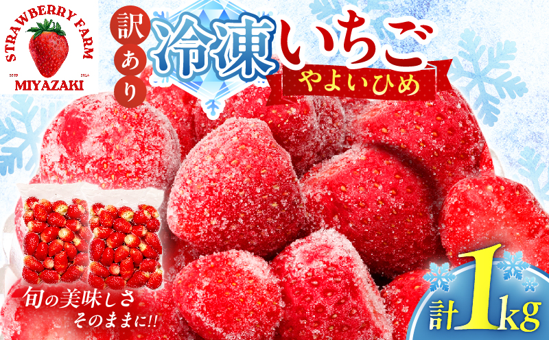 ≪訳あり≫都農町産「冷凍いちご(やよいひめ）」計1kg フルーツ 果物 デザート イチゴ 国産_T059-003