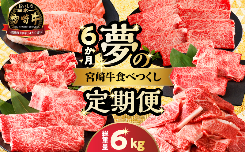 ≪6か月定期便≫夢の宮崎牛食べつくしセット(総重量6kg) 肉 牛 牛肉 おかず 国産_T030-1433