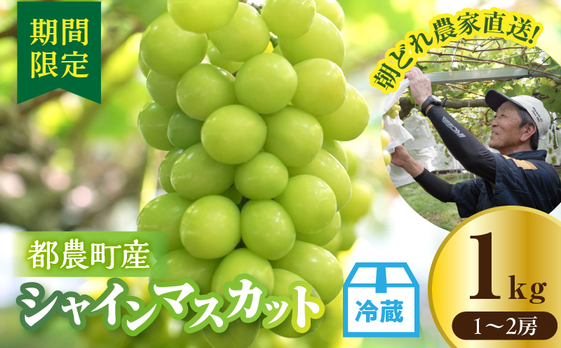 先行予約≪期間限定≫都農町産シャインマスカット(計1kg) ぶどう 果物 国産_T010-0025