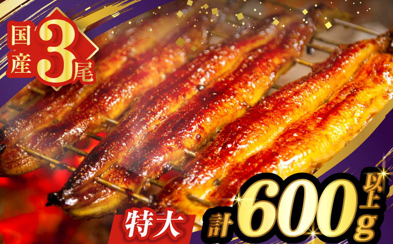 【2週間以内発送】うなぎ蒲焼3尾(さんしょう・たれ付き)計600g以上 鰻 魚 魚介 加工品 国産_T026-0148-2W