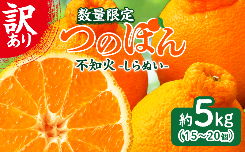 先行予約≪数量限定≫訳あり不知火(つのぽん)約5kg フルーツ 果物 柑橘 みかん 国産_T002-002