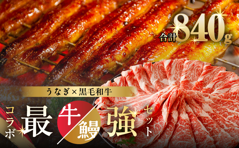 ≪数量限定≫うなぎ×黒毛和牛(経産牛) 都農町最強セットD 肉 牛 牛肉 おかず 国産_T030-1323