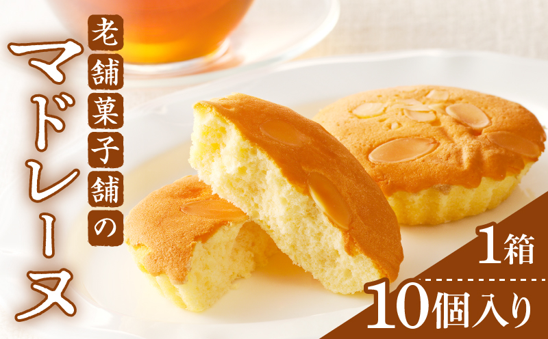 【2週間以内発送】老舗菓子舗のマドレーヌ計10個 焼き菓子 スイーツ 詰め合わせ 洋菓子_T035-0026