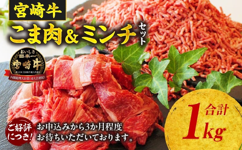 宮崎牛 こま肉・ミンチセット1kg_Tk024-019