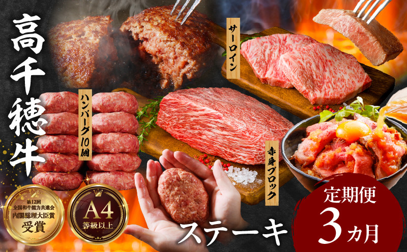 【3か月定期便】 高千穂牛ステーキ定期便 ふるさと納税 牛肉 肉 お肉 サーロイン ステーキ 赤身 定期便 定期 国産牛 ブランド牛 和牛 ハンバーグ 国産 贈答 贈り物 簡単調理 おかず 普段使い 宮崎県 高千穂 _Tk002-t083
