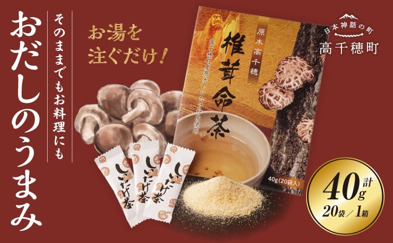 椎茸命茶_Tk005-112