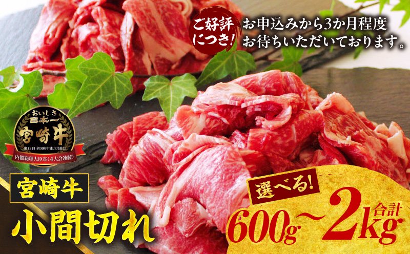 【ふるさと納税】【選べる内容量】宮崎牛 こま切れ600g～2kg_Tk024-018-SKU