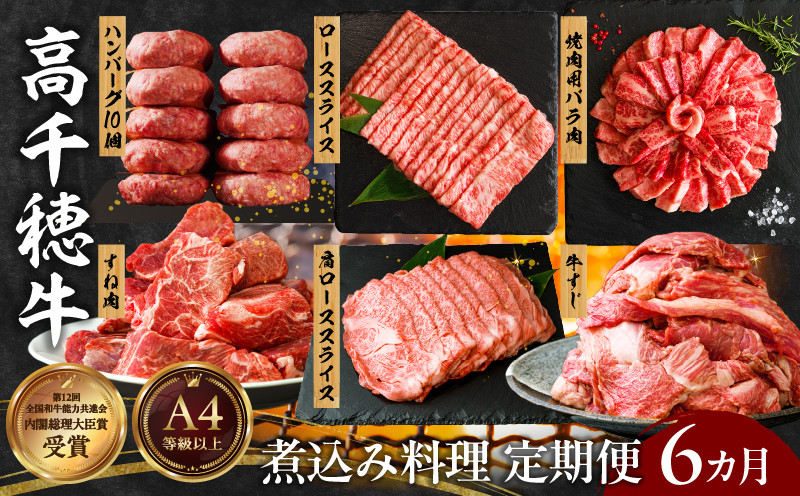 【6か月定期便】高千穂牛煮込み料理6か月定期便_Tk002-t087