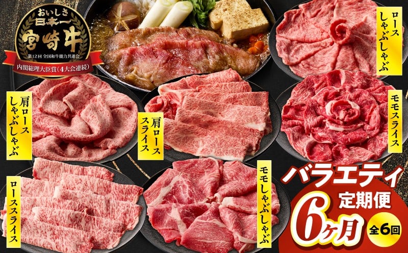 【6か月定期便】宮崎牛バラエティ定期便_Tk031-t023